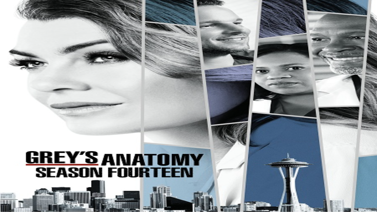 مسلسل Grey’s Anatomy الموسم الرابع عشر الحلقة 14 مترجمة كاملة HD